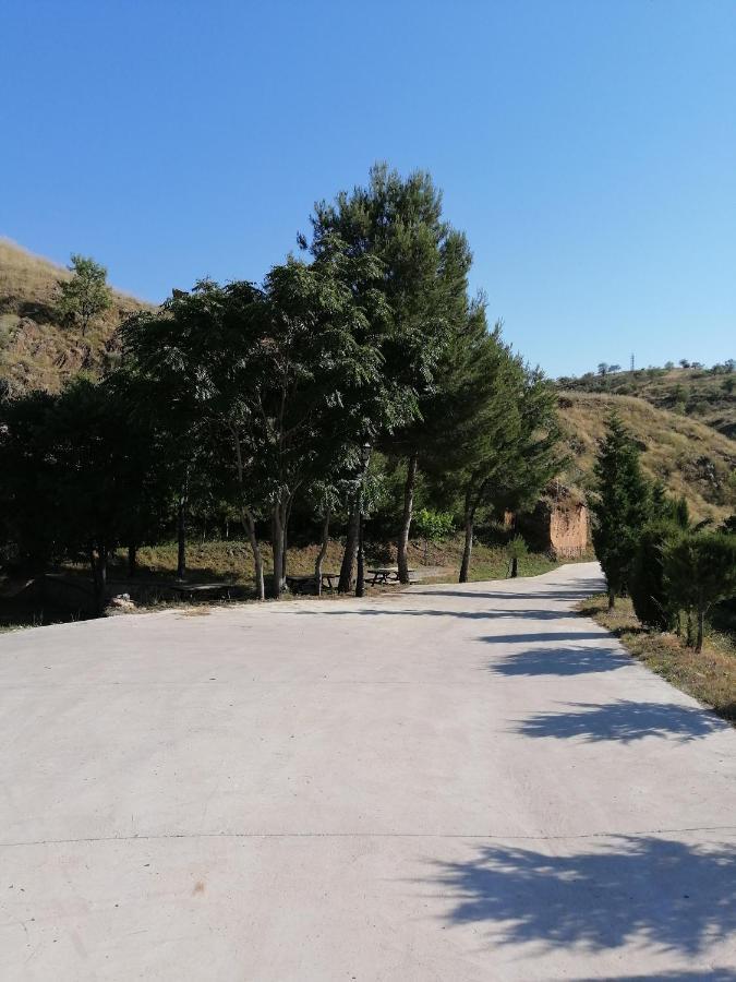 Apartamentos Rurales Camino Del Cid Castejón de las Armas Exteriér fotografie