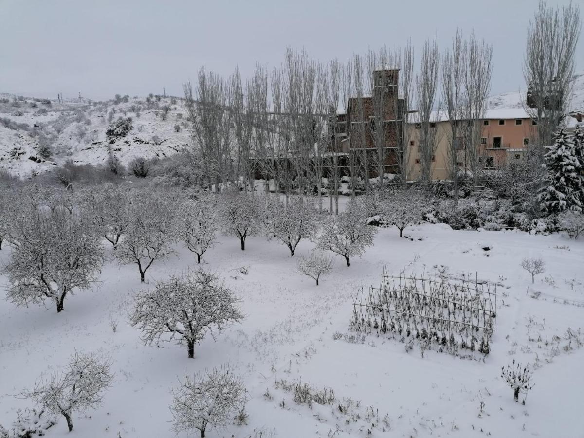 Apartamentos Rurales Camino Del Cid Castejón de las Armas Exteriér fotografie
