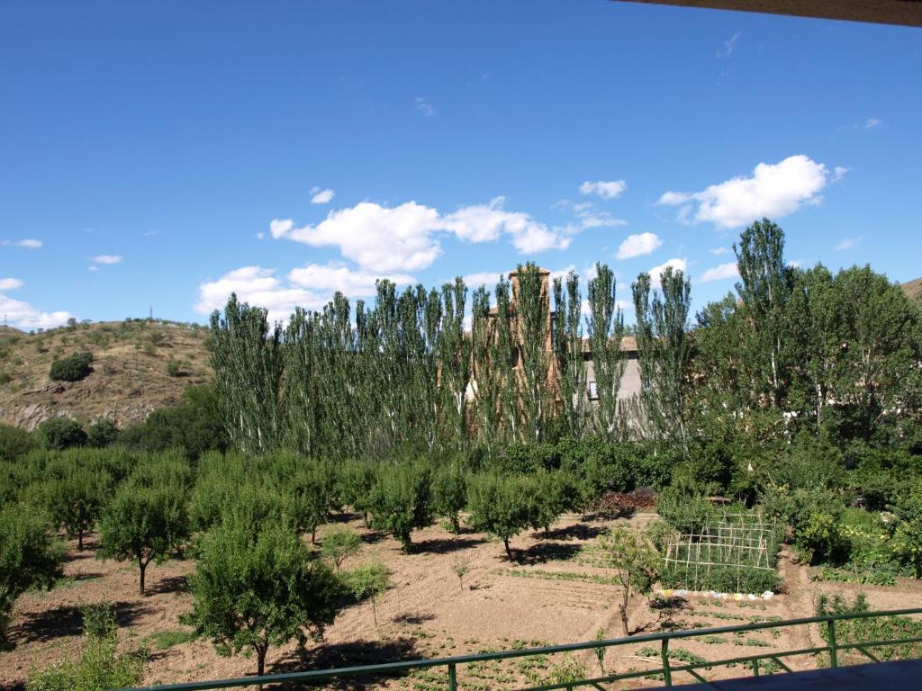 Apartamentos Rurales Camino Del Cid Castejón de las Armas Exteriér fotografie